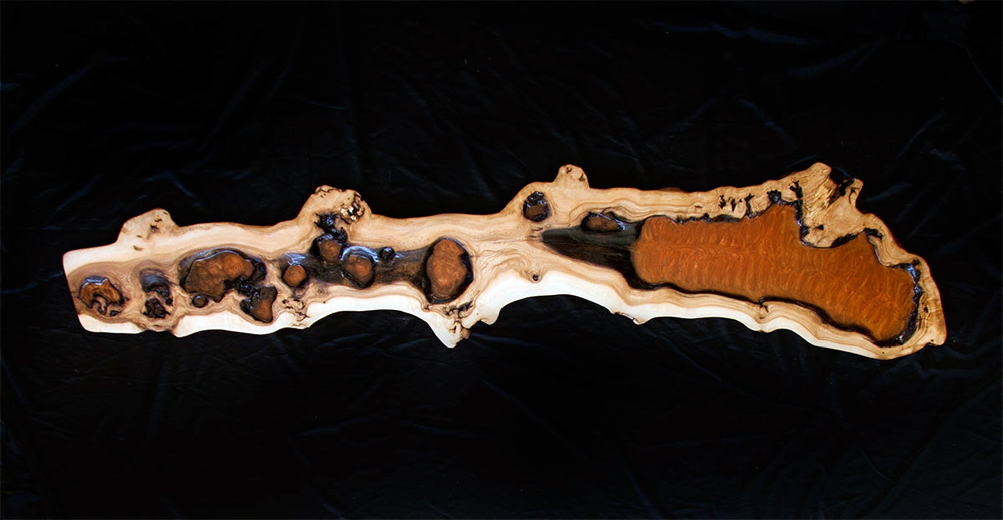 Prehistoric Abstract