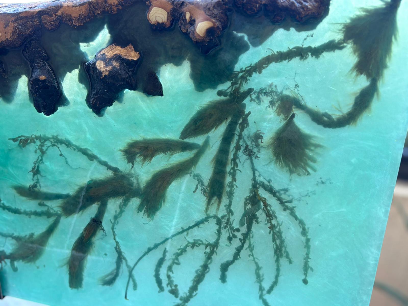 Image of the components of the Mediterranean art piece that has sea plants from the mediterraneum