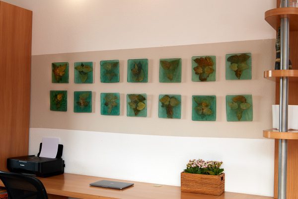 Pared de oficina en casa decorada con una serie de piezas de arte botánico cuadradas que muestran hojas prensadas en varios tonos de verde y marrón.
